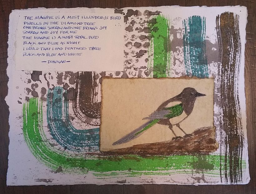 The magpie is a most illustrious bird