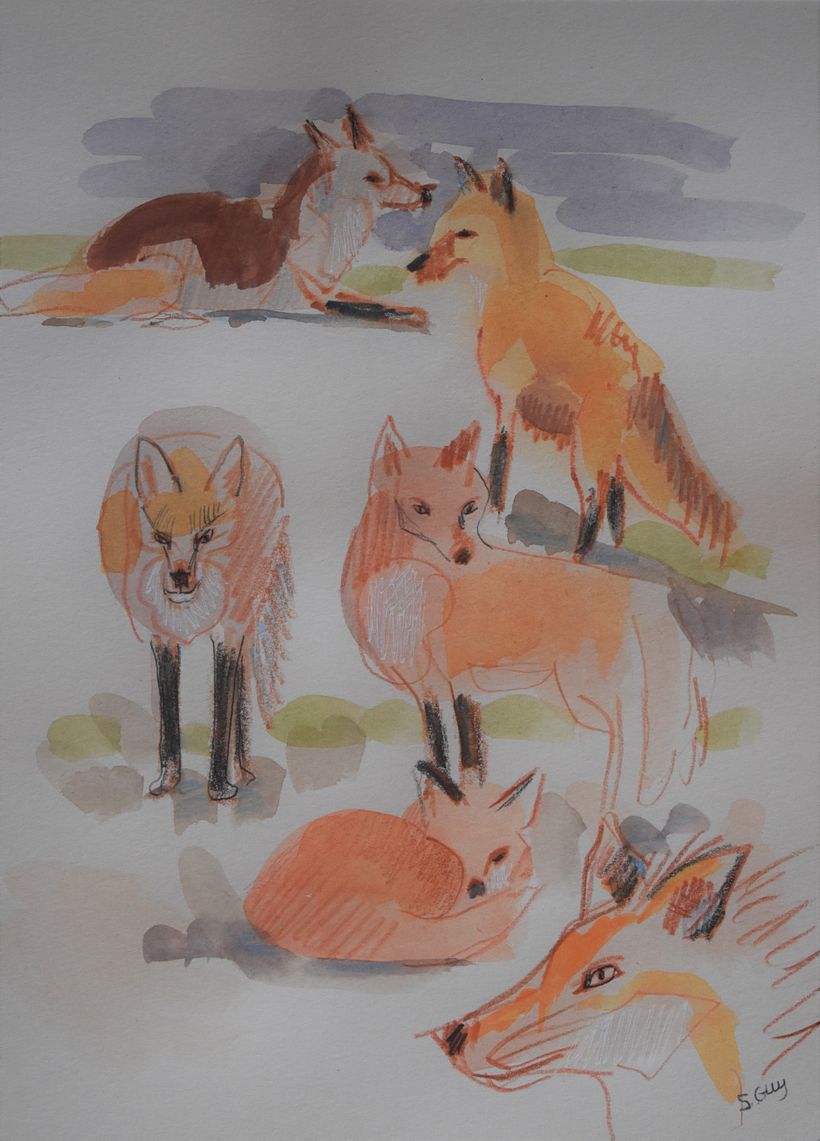 My project in Illustrating Nature: A Creative Exploration course 2