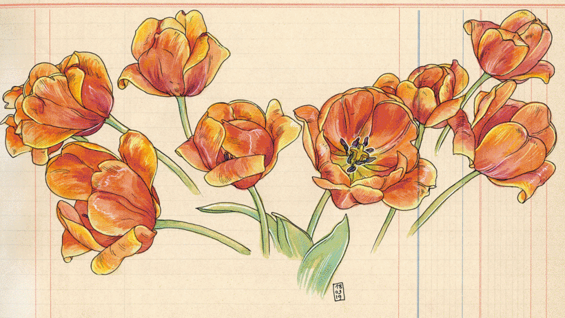 Urban sketcher and illustrator Lapin believes you can find peace in the rush of everyday life by drawing plants and flowers.
