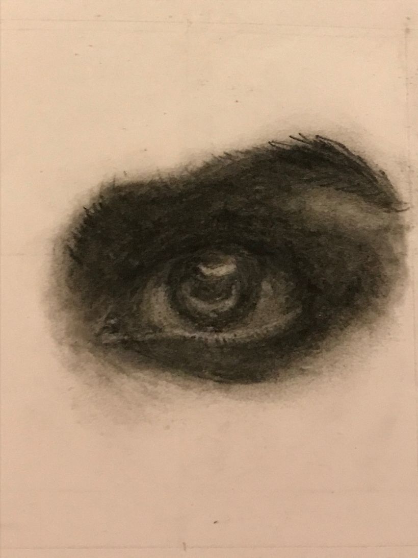 My project in Artistic Charcoal Portraiture: Creating Atmosphere course 1