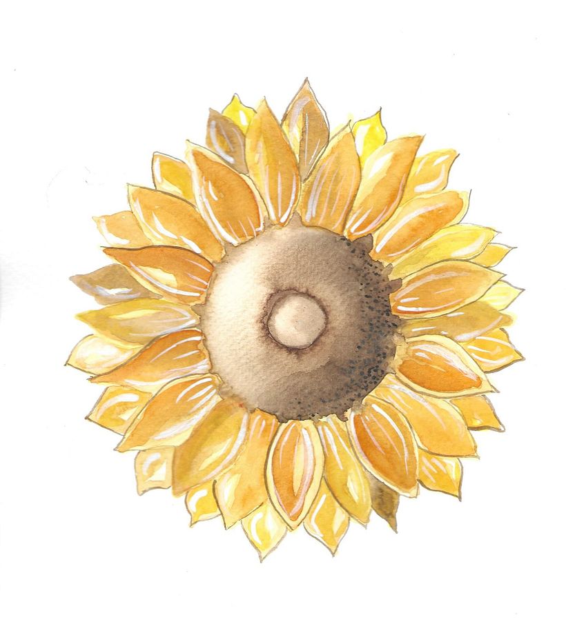My project in Botanical Illustration with Watercolors course 3