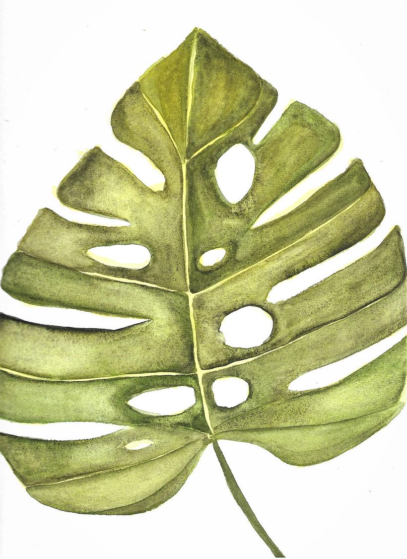 My project in Botanical Illustration with Watercolors course 5