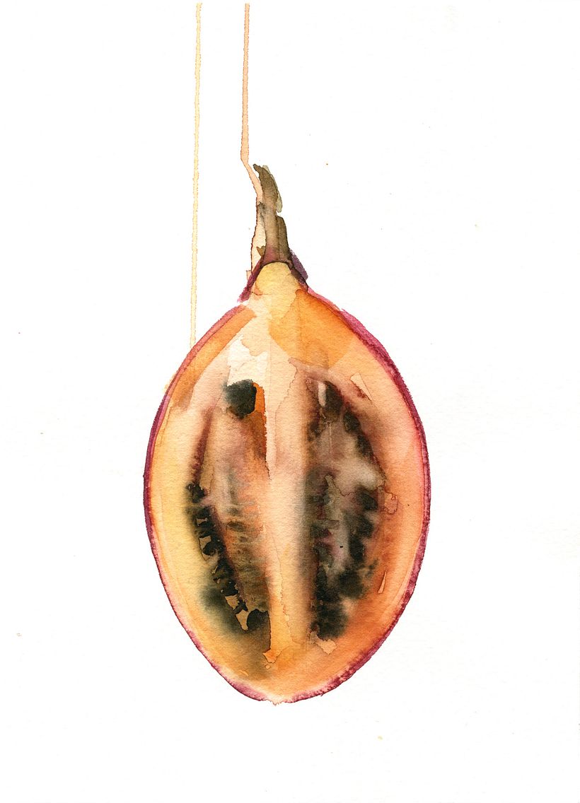 Tamarillo