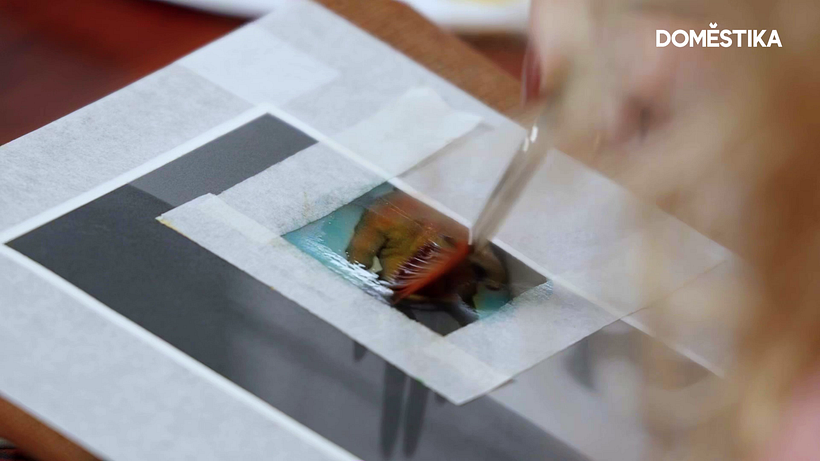 Matiza la pintura con el color de tu elección.