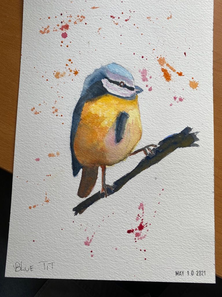 My project in Artistic Watercolor Techniques for Illustrating Birds course 2