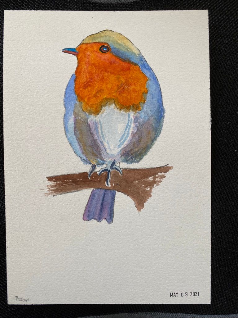 My project in Artistic Watercolor Techniques for Illustrating Birds course 3