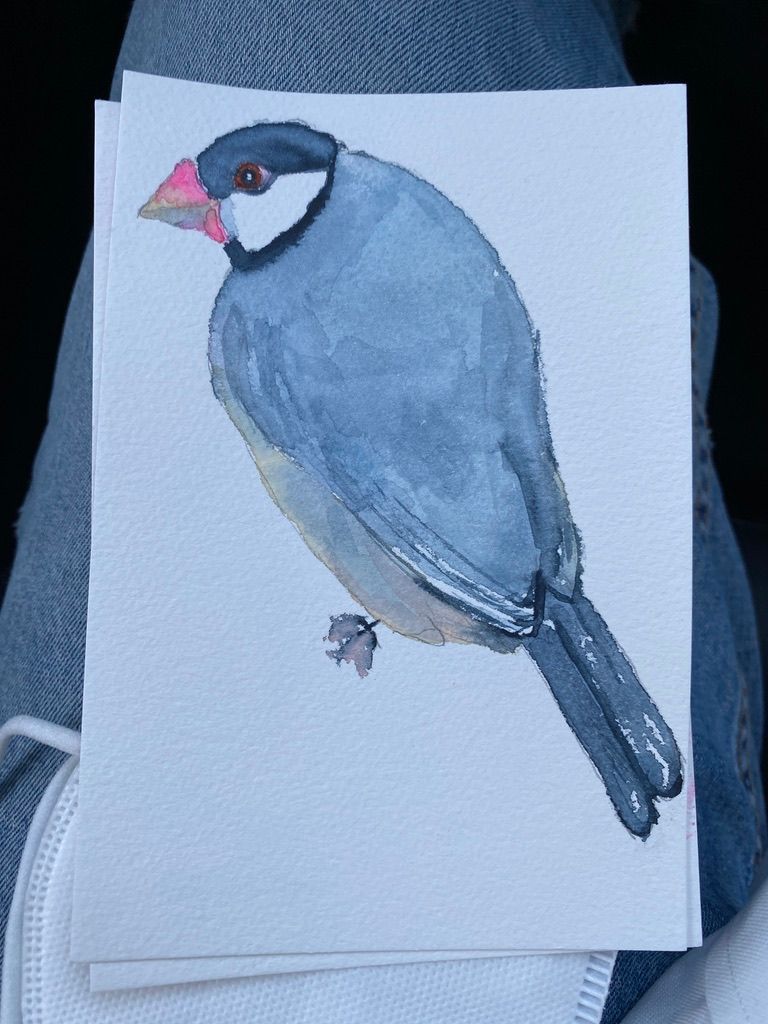 My project in Artistic Watercolor Techniques for Illustrating Birds course 5