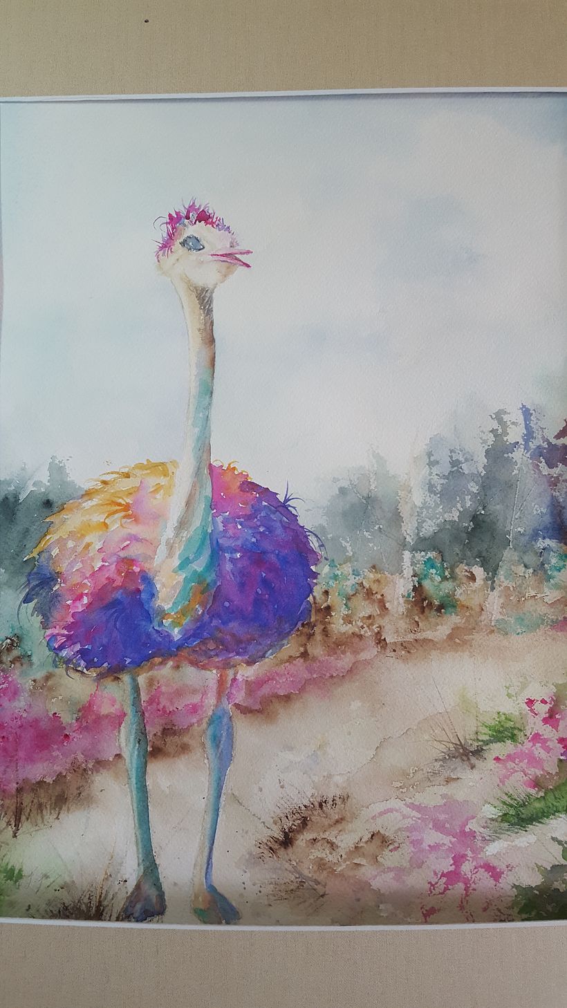 Gorgeous Ostrich