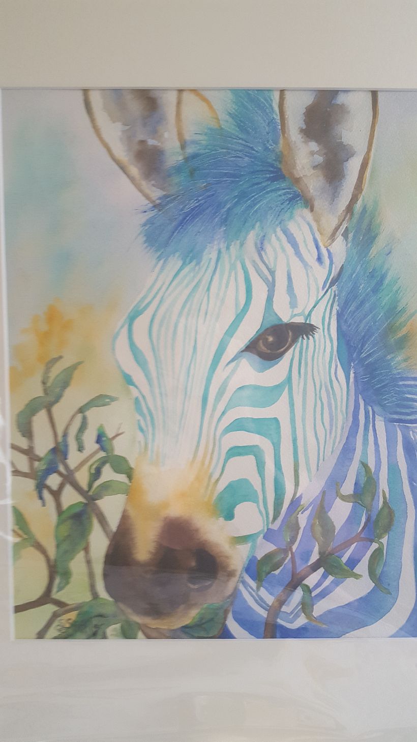 Dreamy Zebra