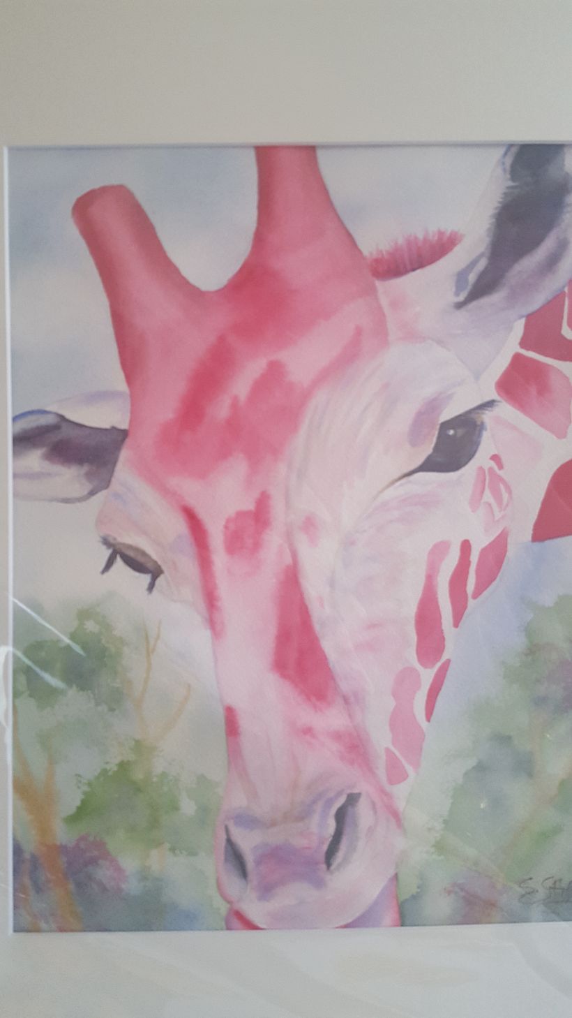 Curious Giraffe