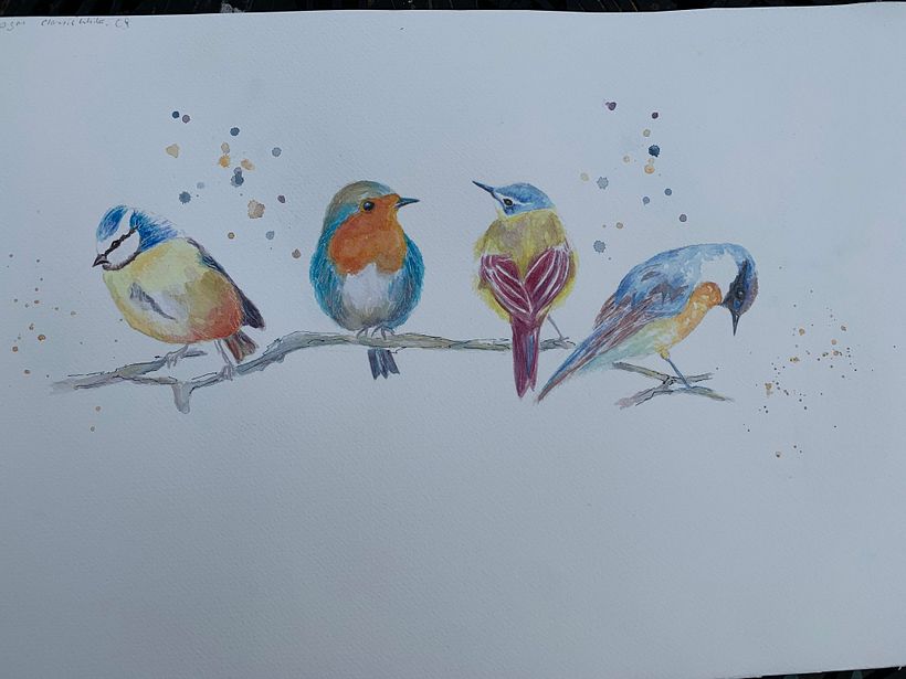 My project in Artistic Watercolor Techniques for Illustrating Birds course 2