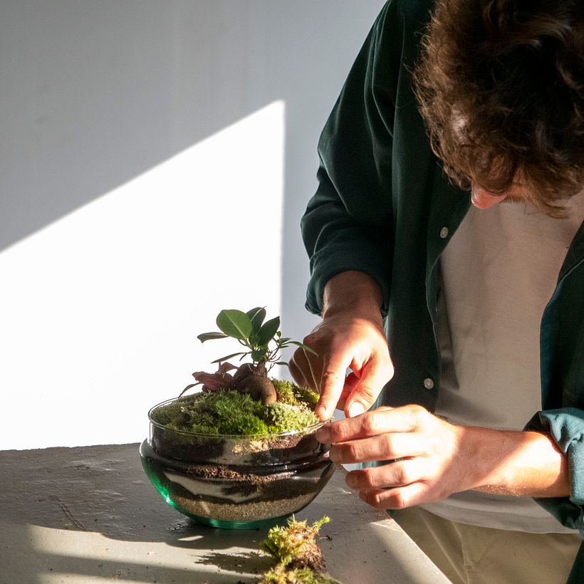 Elaboración de un Jardín en un bol 6