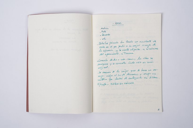 EN BUSCA DE UNA IDEA SOBRE LA QUE ESCRIBIR UNA NOVELA
