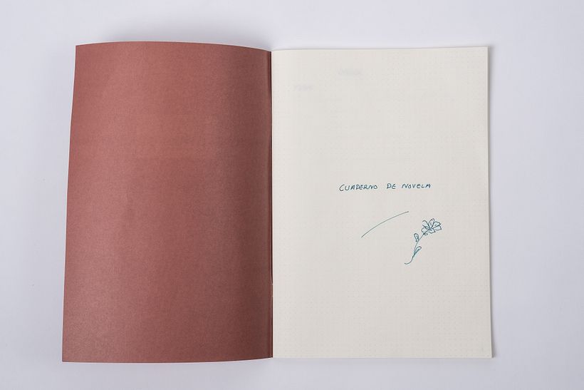 Cuaderno de novela puntillado - Escritura