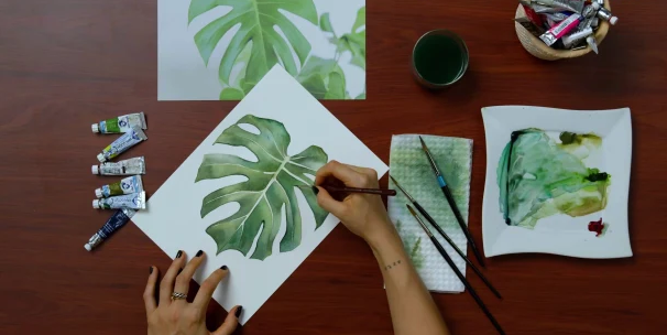 Folha da planta conhecida como Costela-de-adão, Luli Reis