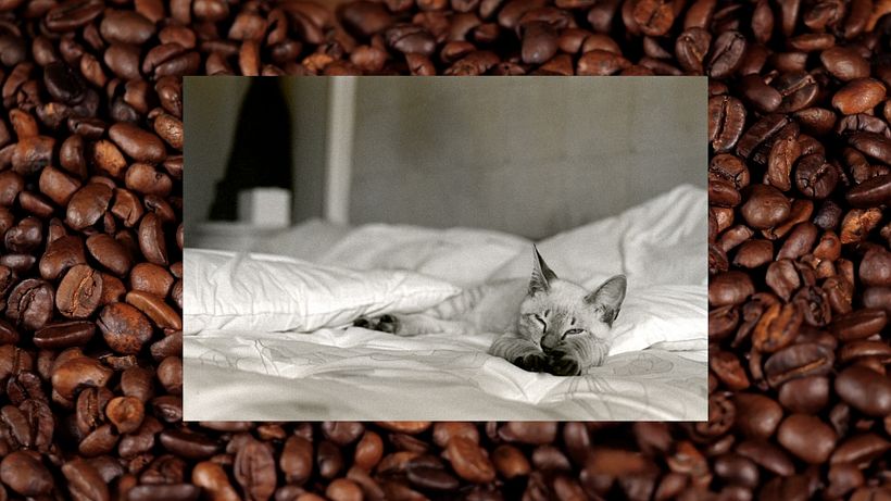 Who would have thought you could use coffee to make a photo?