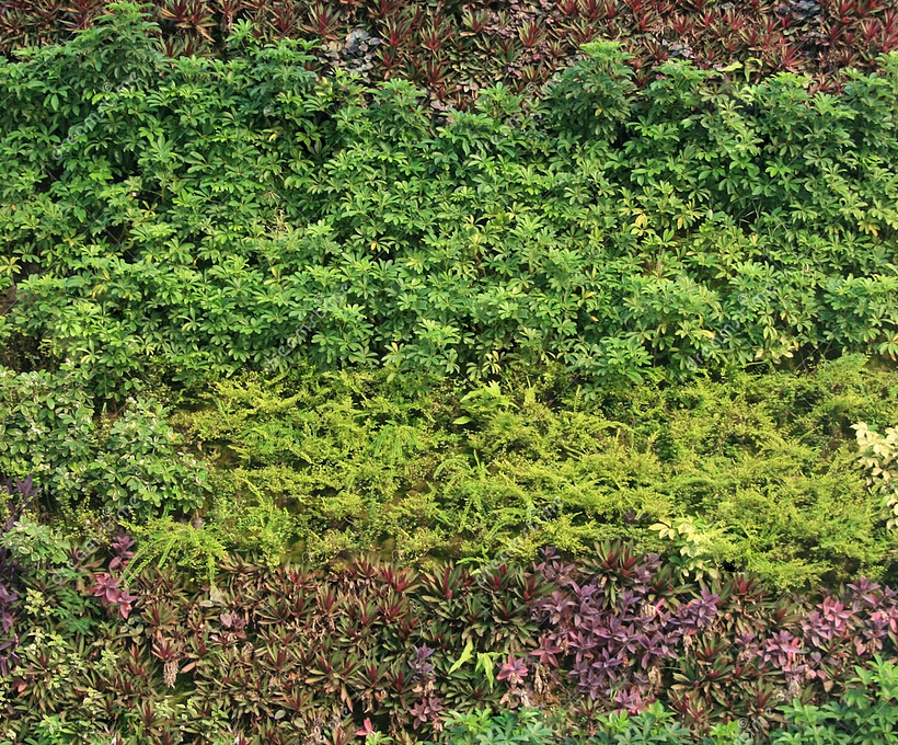 Una de las texturas de vegetación de la descarga. 