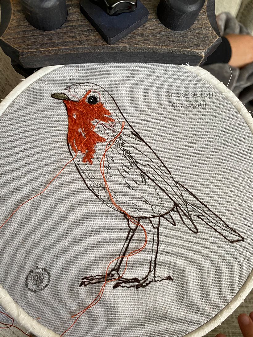 Mi Proyecto del curso: Pintar con hilo: técnicas de ilustración textil 2