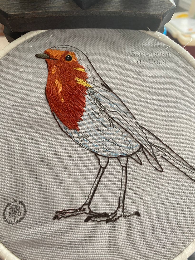 Mi Proyecto del curso: Pintar con hilo: técnicas de ilustración textil 3