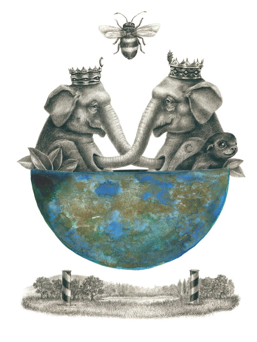 Animales en la Luna 5