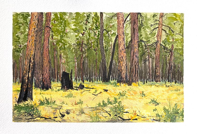 Assorted Paintings 2