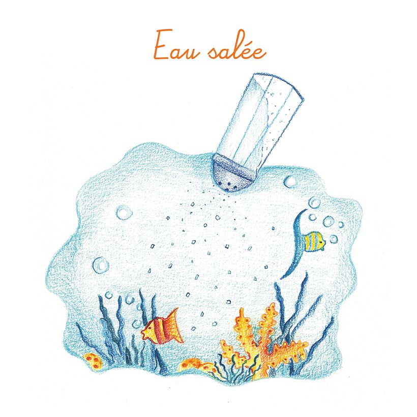 Imagier de la mer 10