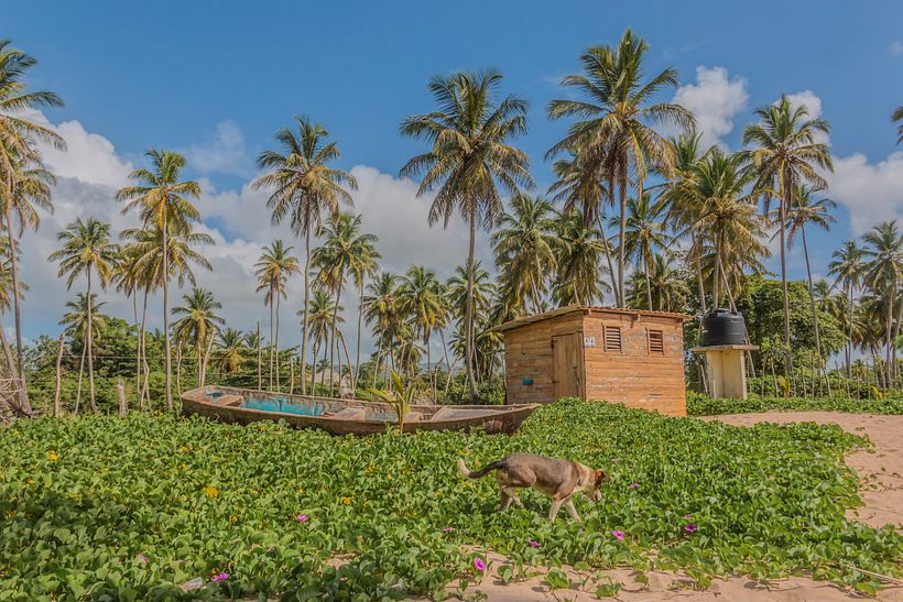 Death in Paradise  2