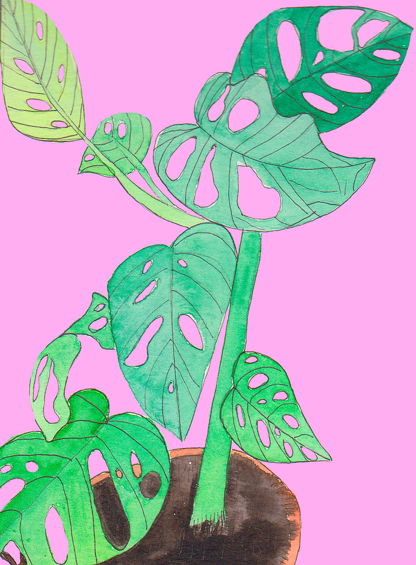 Flowers and botanicals: my final project. pd. I cannot stop! 3
