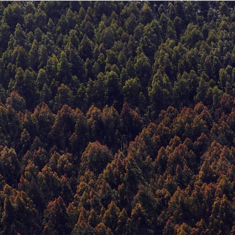 Foto de Ingrid Romero