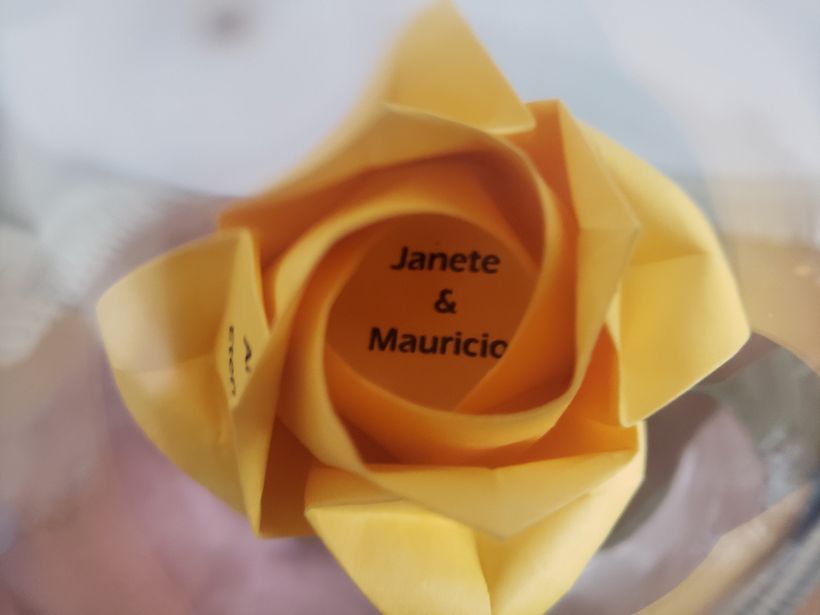 As flores falam/ Sentimentos em flor