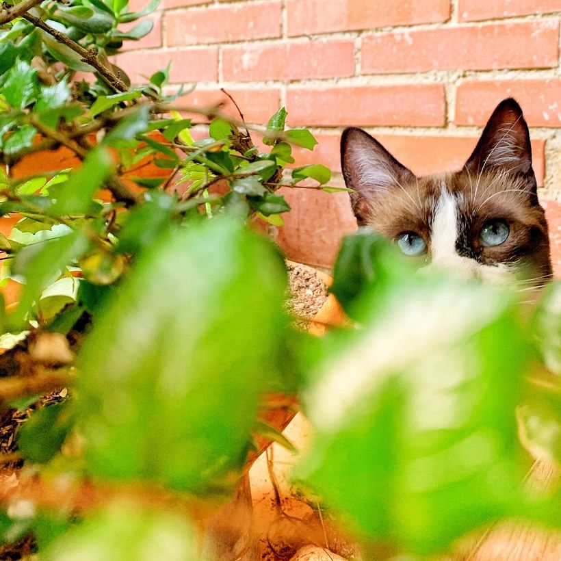 Fotos de mi modelo favorito con cámara Iphone 10 | postproducción con aplicación snapseed