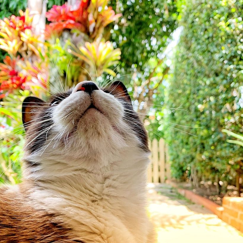 Muy satisfecha del contenido del curso, excelentes datos y orientación