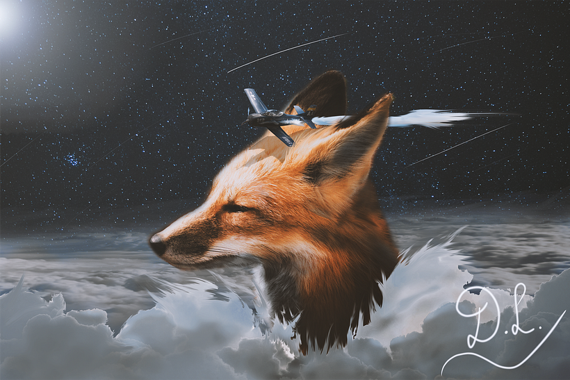 A Fox In the Clouds 2