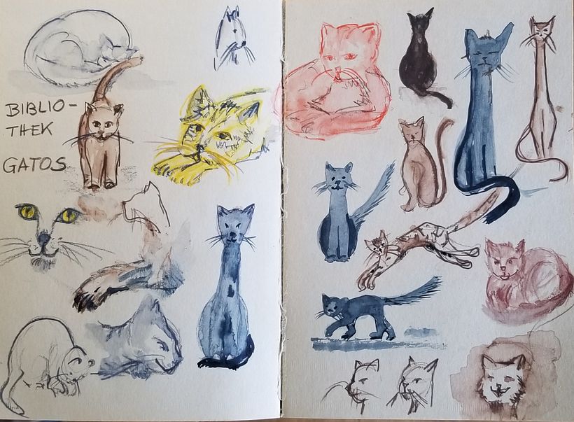 Biblioteca de gatos