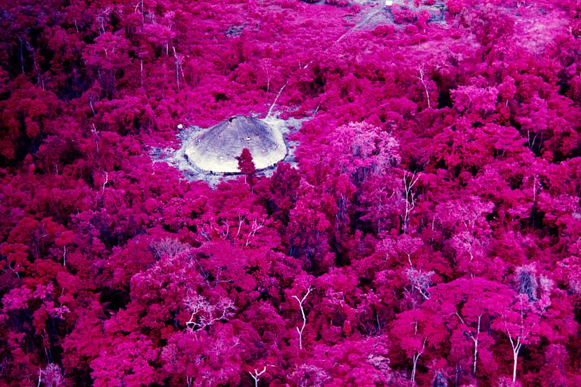 Casa indígena y selva fotografiados en 1976 con técnica de infrarrojos. © Claudia Andujar.