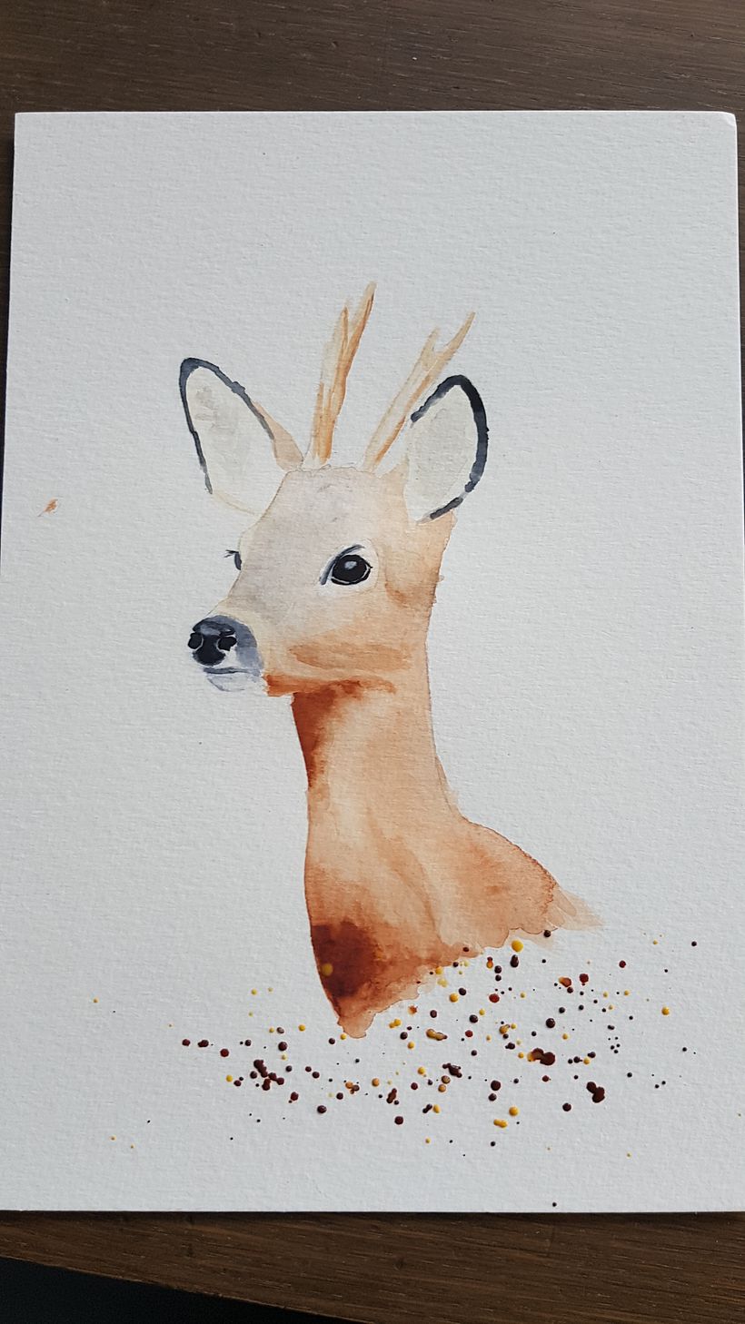 Roedeer in watercolour 2