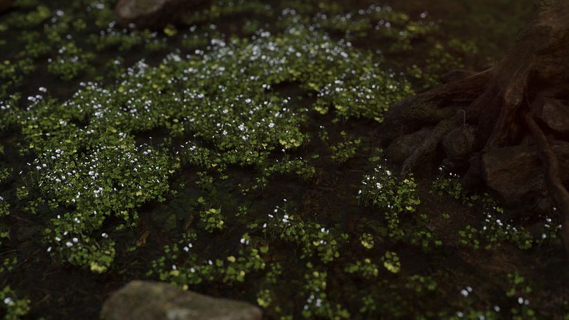 Letter "E" with a little depth of field