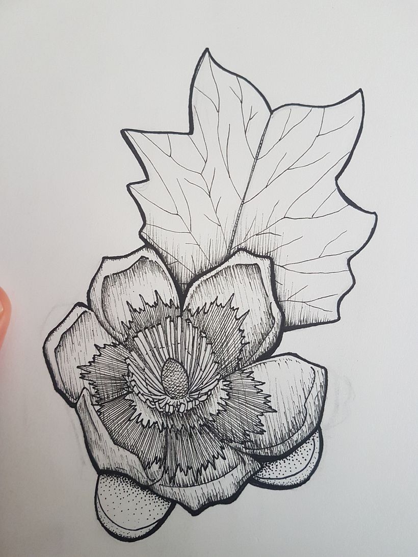 Tulip tree