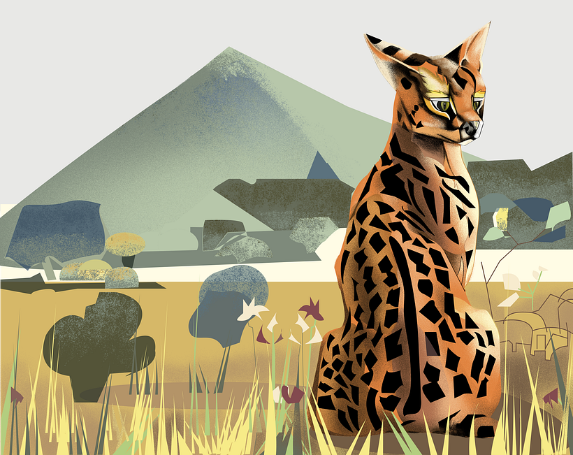 My project in Wildlife Illustration for Children's Books course 2
