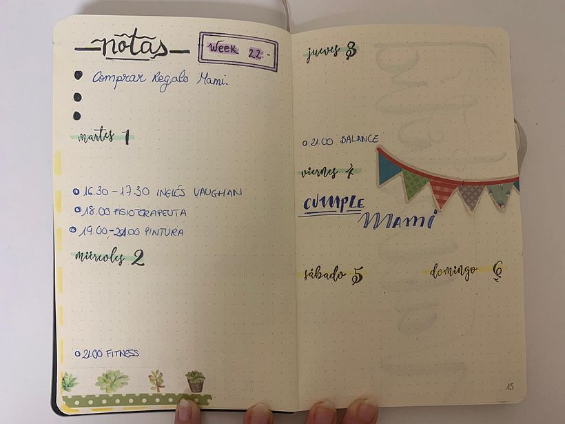 Registro Diario