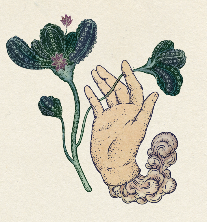 Katie Scott hace ilustraciones científicas dentro de composiciones artísticas. 