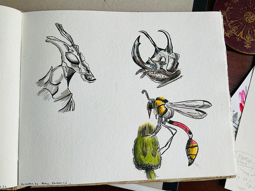 Real life bugs from Sorie’s reference photos