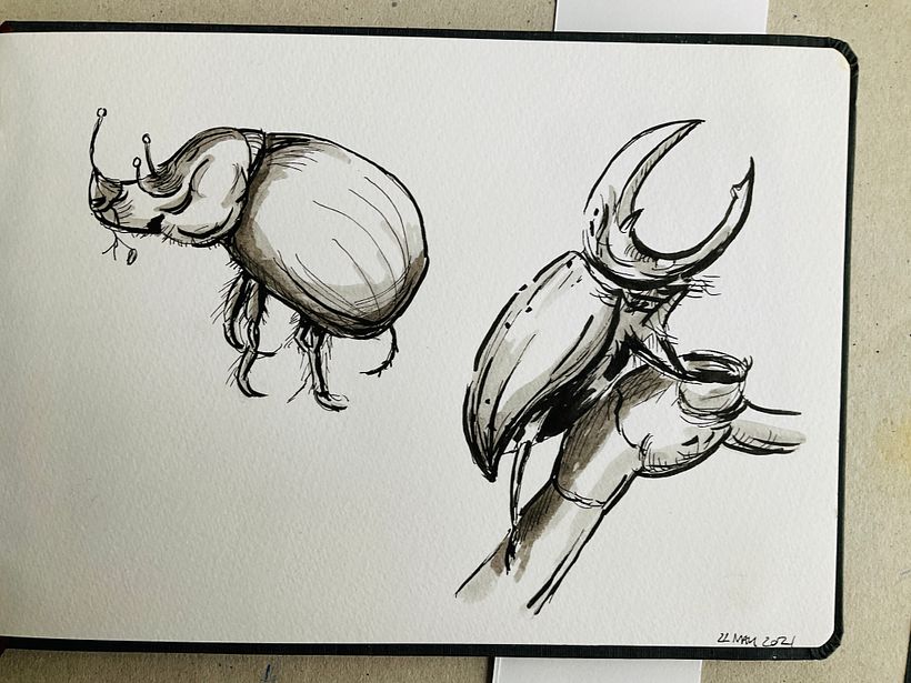 More bugs