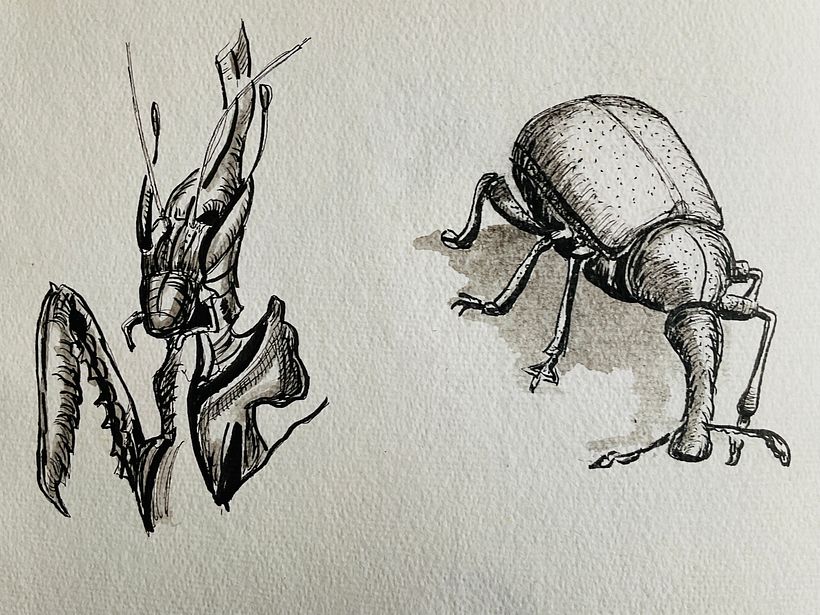 And even more bugs
