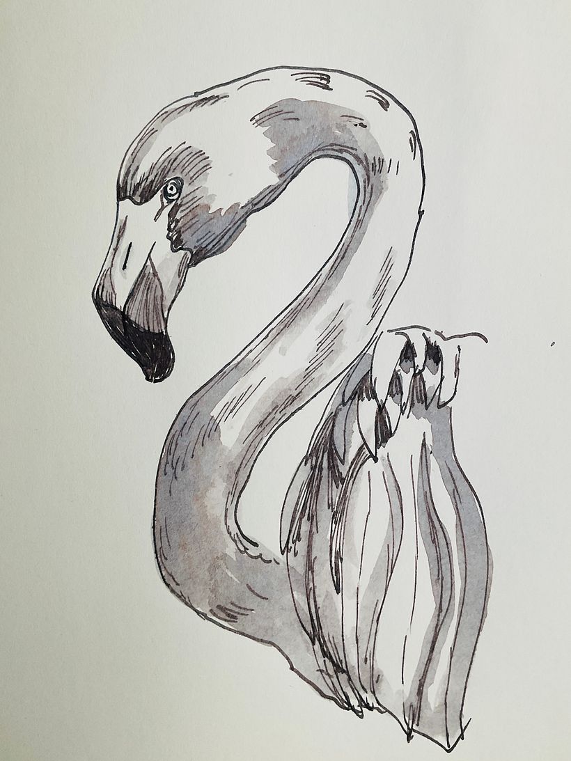 Flamingo in a using a reddish ink wash