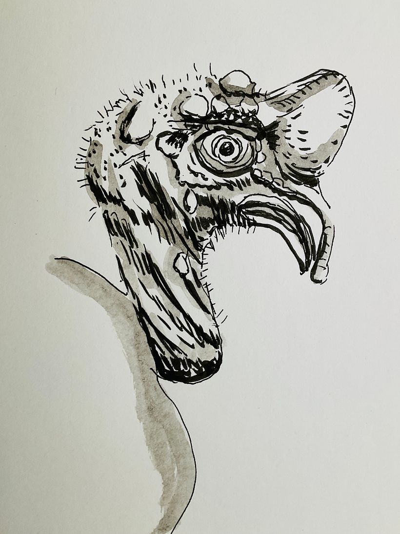 Scary bird