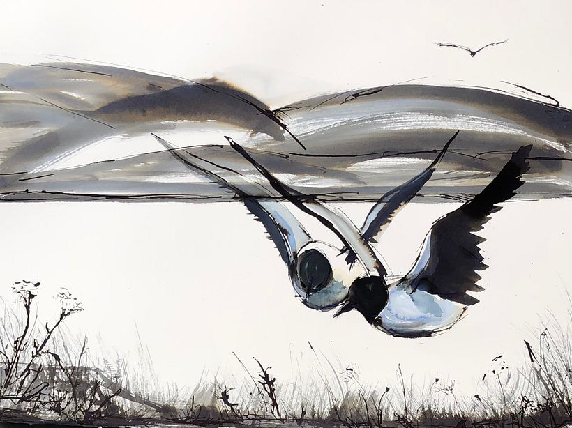 My project in Illustrating Nature: A Creative Exploration course 1