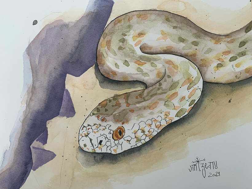 My project in Experimental Watercolor Techniques for Beginners course 1