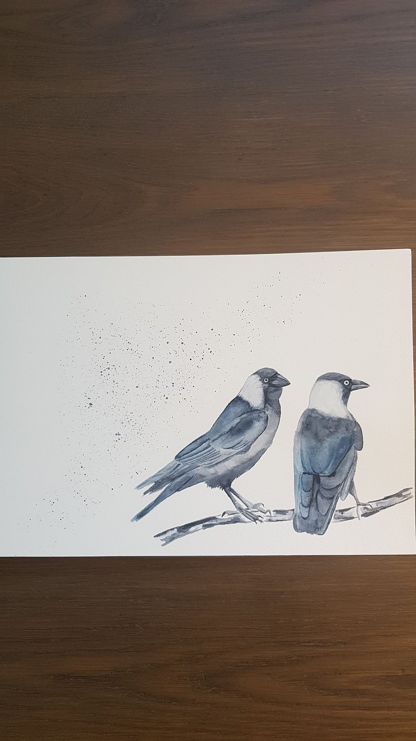 Final project birds in watercolour 1