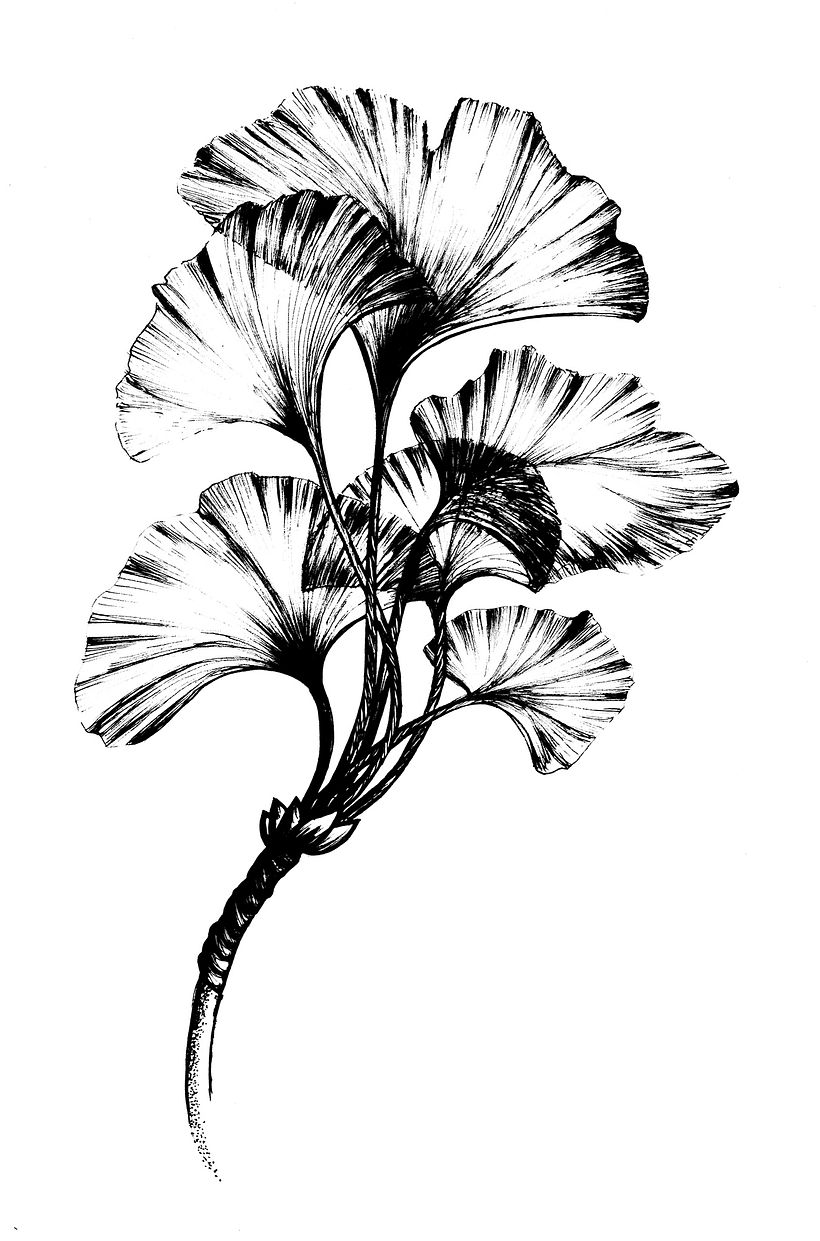Meu projeto do curso: Desenho de tatuagem blackwork 3